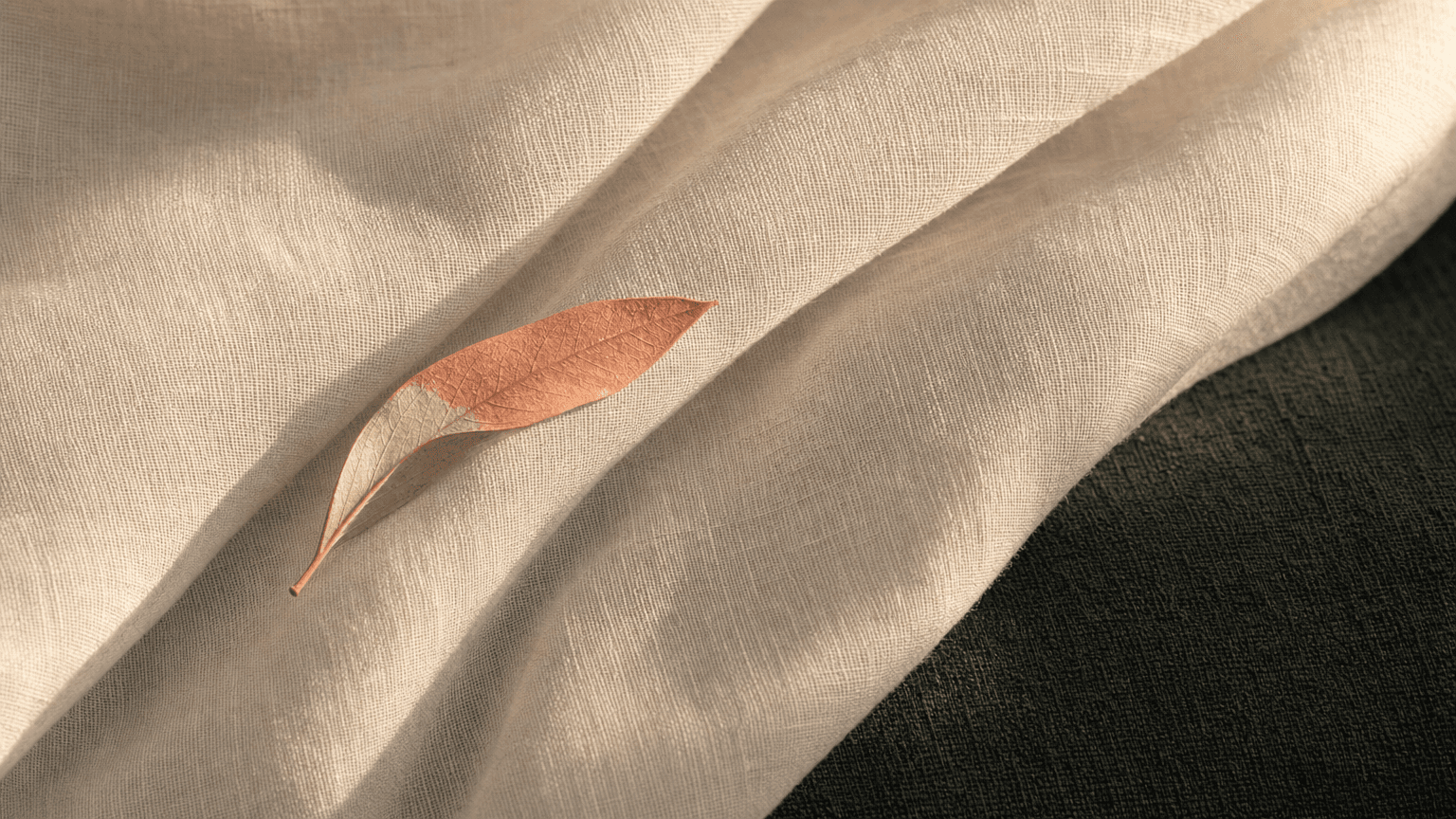 A single pressed dusty-coral olive leaf on bone-cream chiffon — a symbol of the permanently natural result
