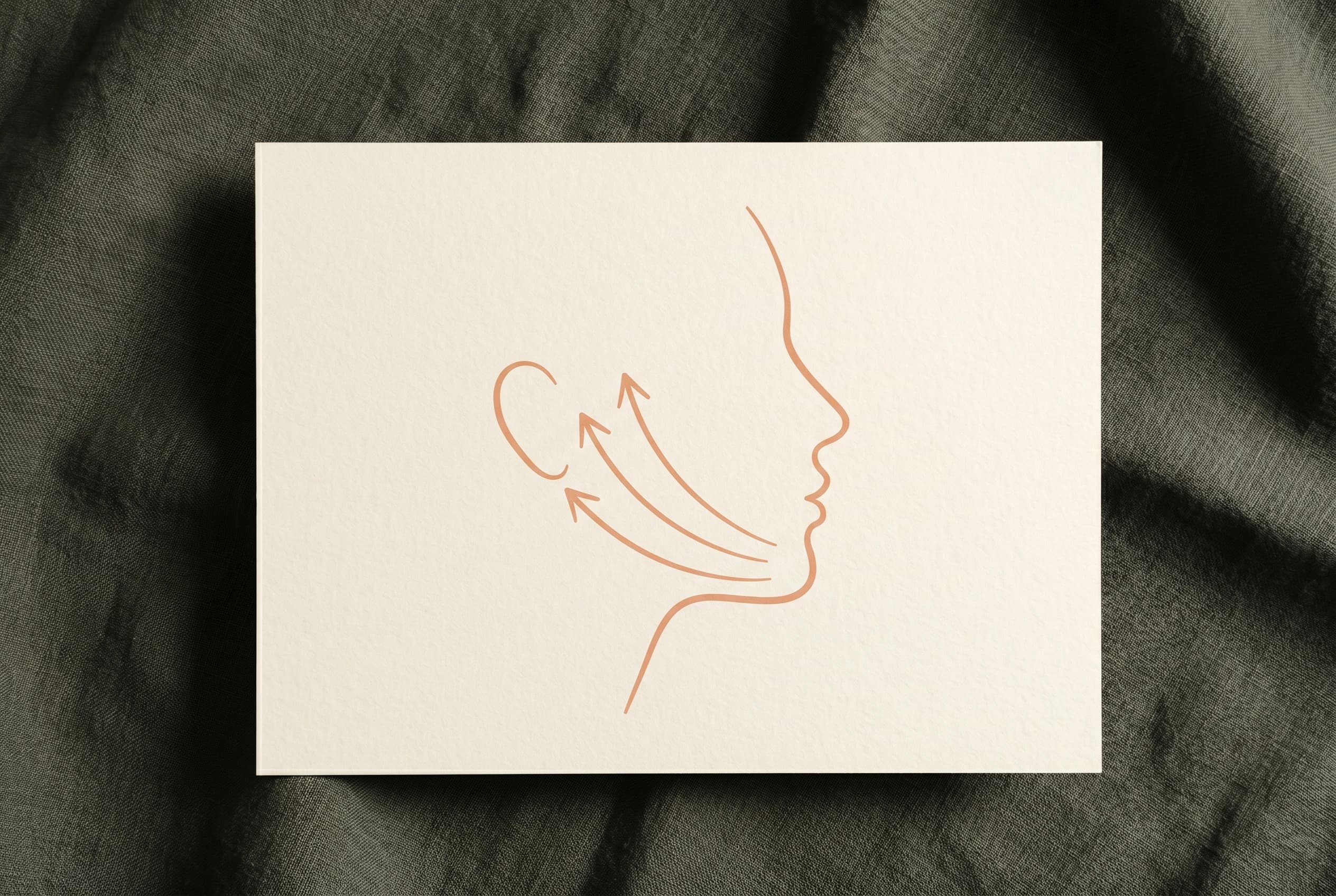 Bone-cream Papier mit Profilsilhouette in peach Tusche und drei Pfeilen vom Kinn aufwärts Richtung Ohr und Schläfe — Symbol des SMAS-Lift-Vektors