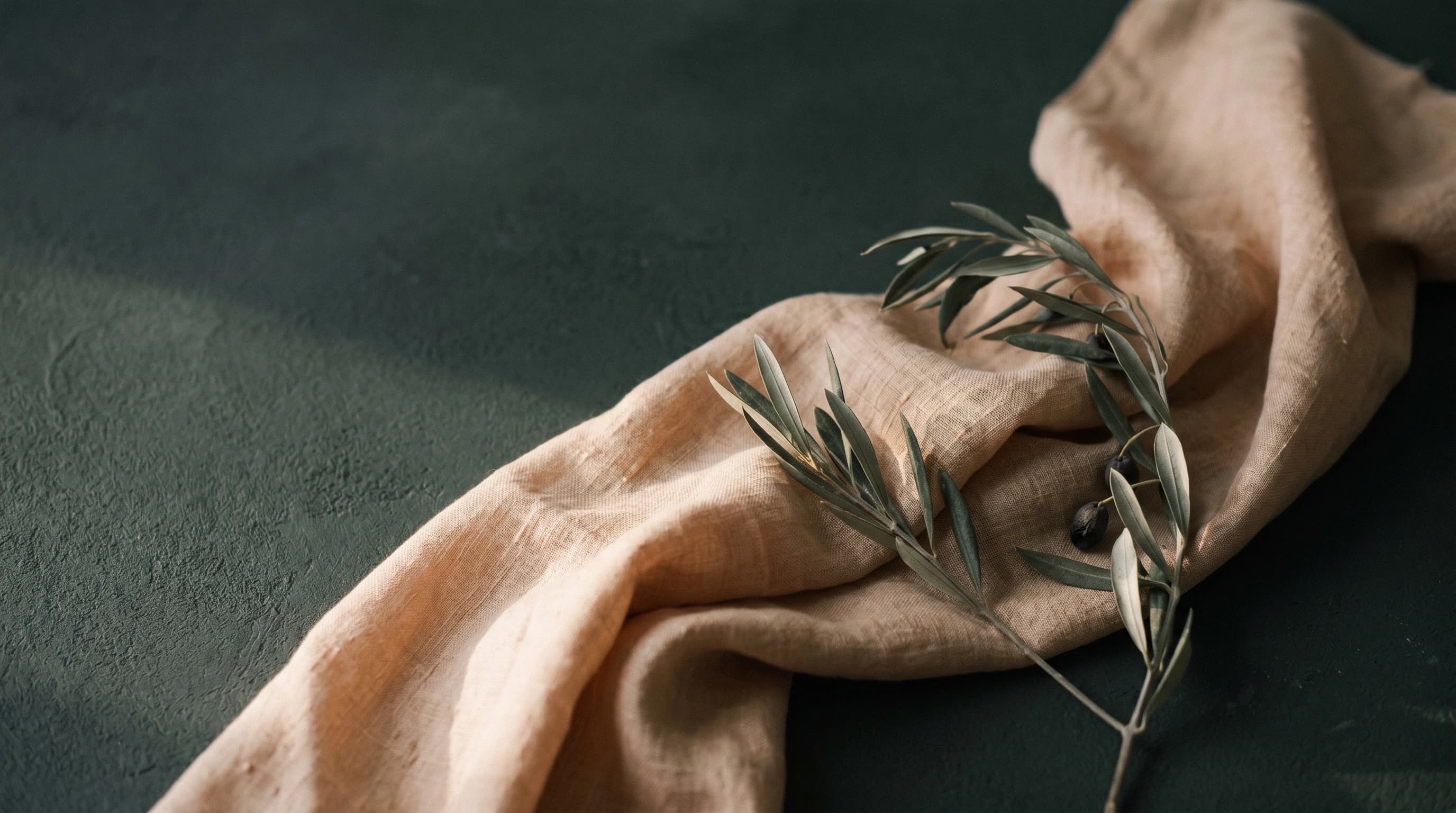 Editorial still life — warm linen and an olive branch on charcoal green